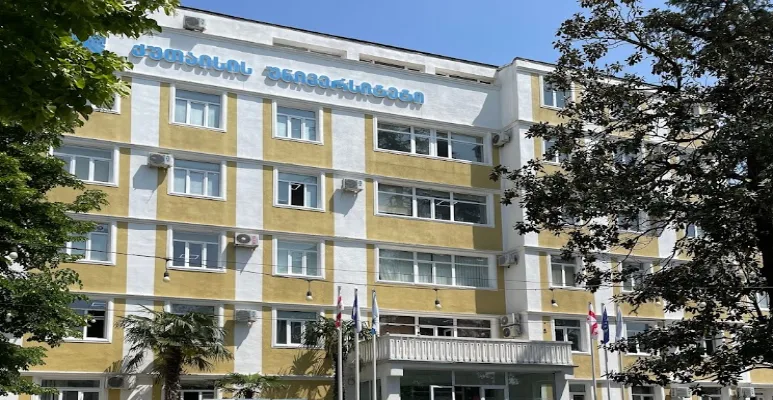 Kutaisi State University